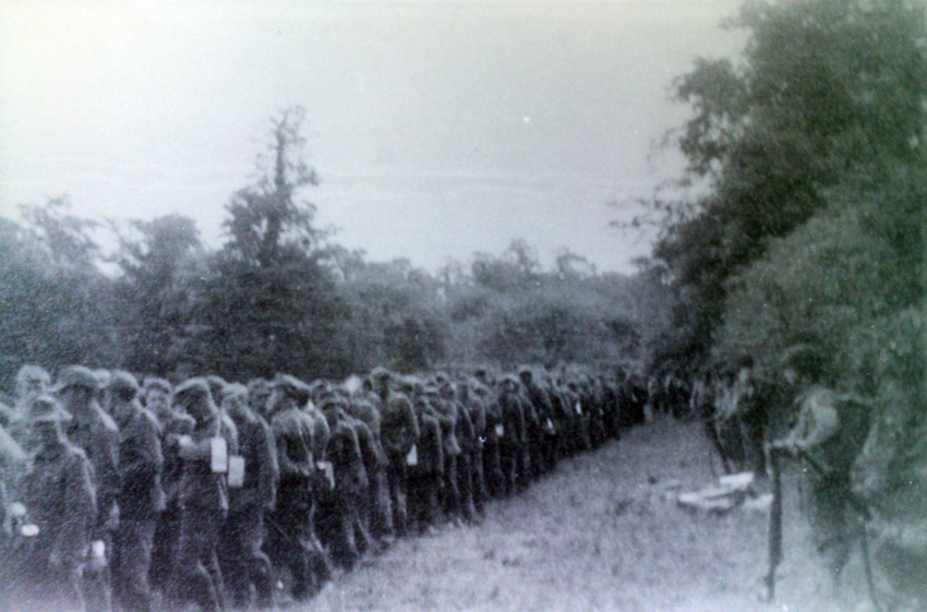 64--German-POW's-Whitebeam.jpg