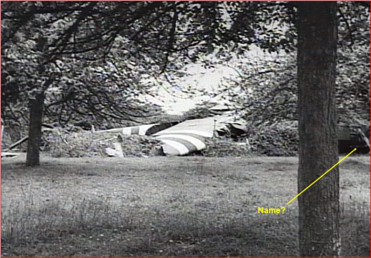 Apple Orchard Horsa 2.JPG